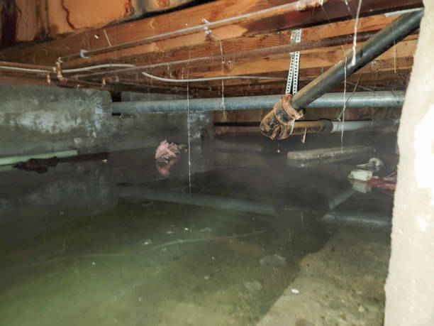 Best Emergency water damage restoration  in East Whittier, CA
