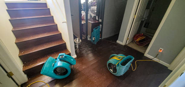 Best Flood damage cleanup  in East Whittier, CA