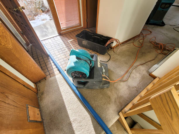 Best Mold removal after water damage  in East Whittier, CA