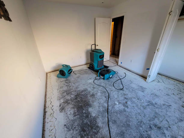 Best Carpet water damage restoration  in East Whittier, CA