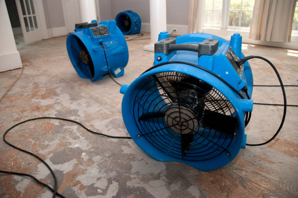 Best Sewage cleanup and water damage restoration  in East Whittier, CA