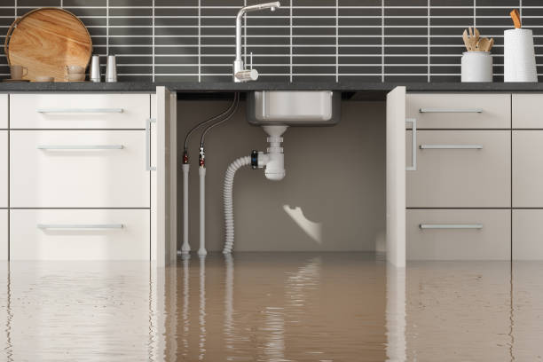 Best Ceiling water damage repair  in East Whittier, CA