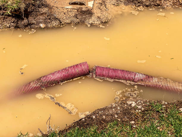 Carpet water damage restoration in CA
