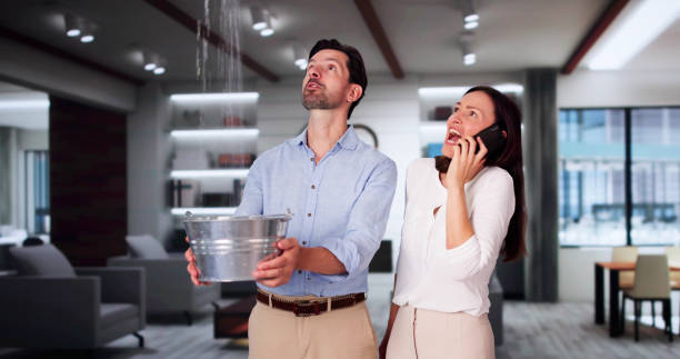 Best Water damage contractors near me  in East Whittier, CA